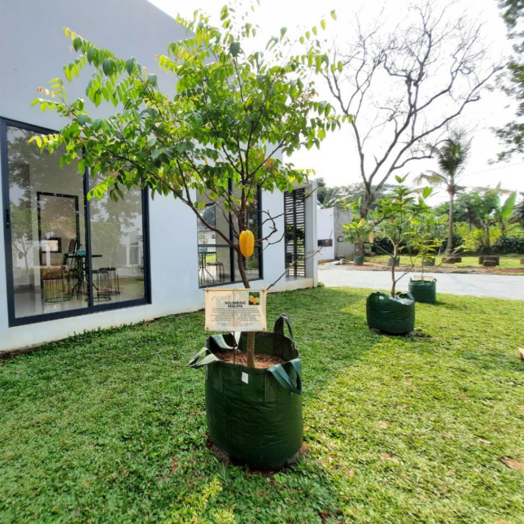 Hunian Desain Green Concept - Adreena Village Cibubur