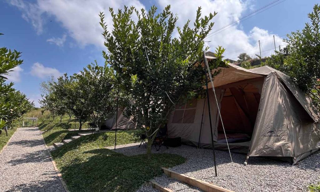 Camping Malang Dreamcamp, Camp Eksklusif di Tengah Kebun Jeruk
